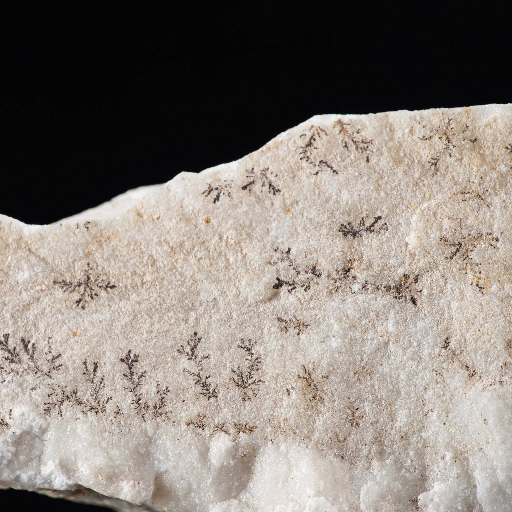 Dendrite su Manganese