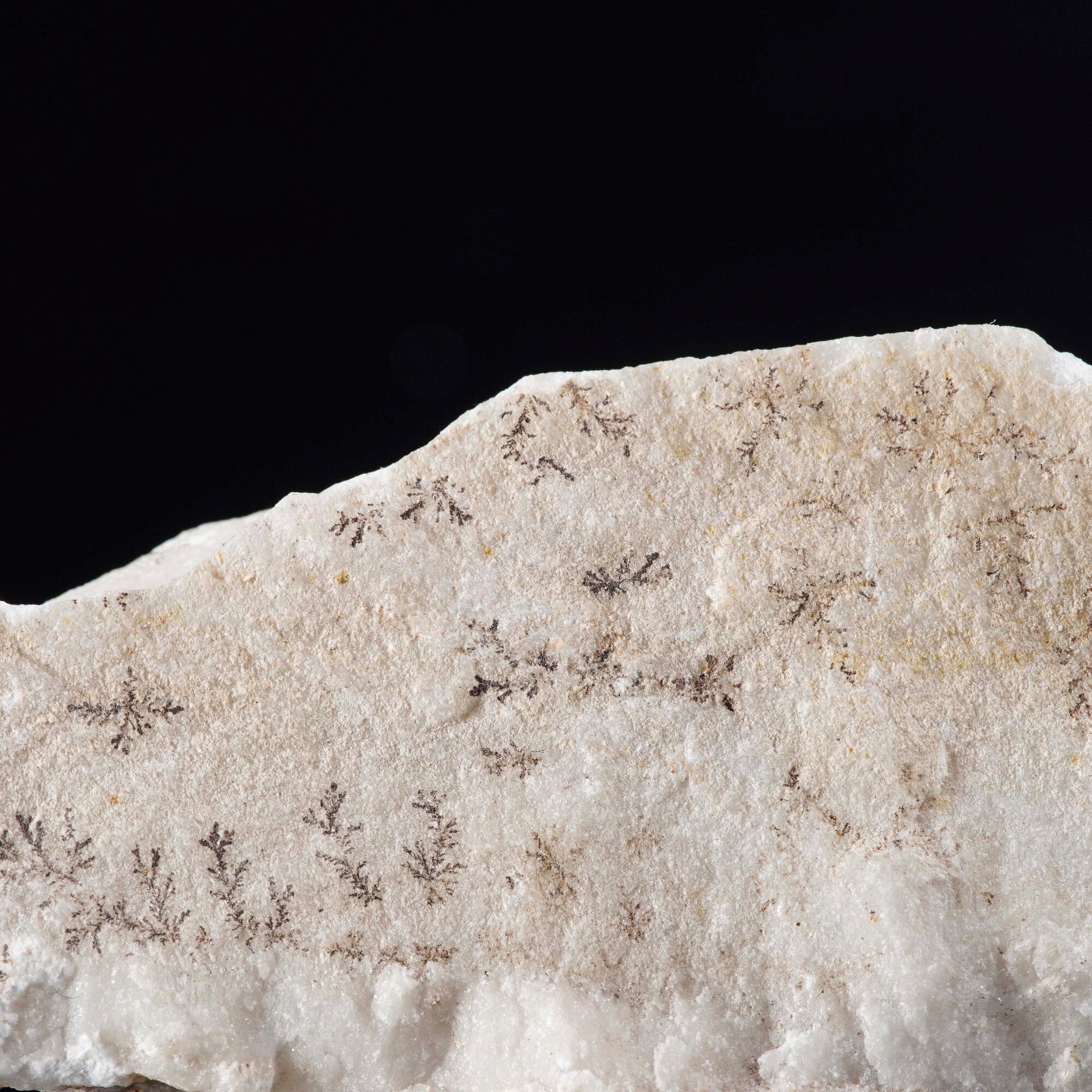 Dendrite su Manganese