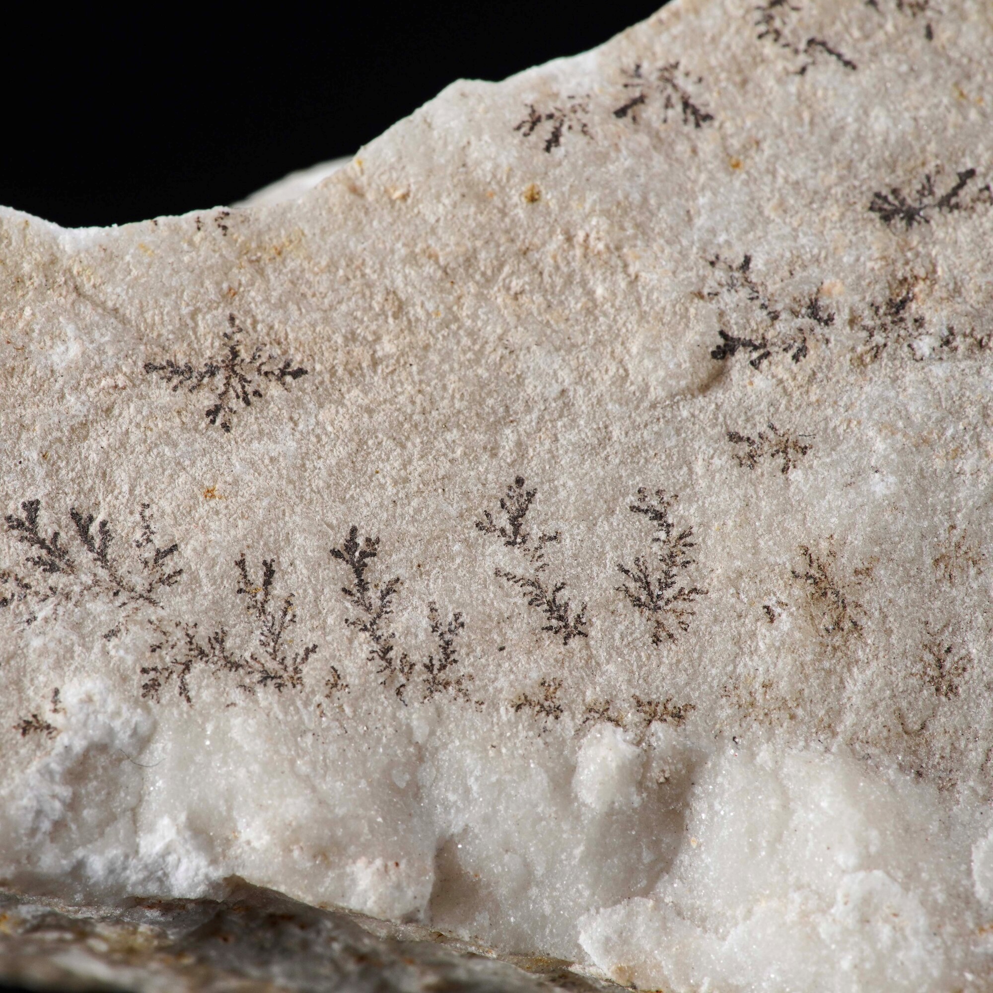 Dendrite su Manganese