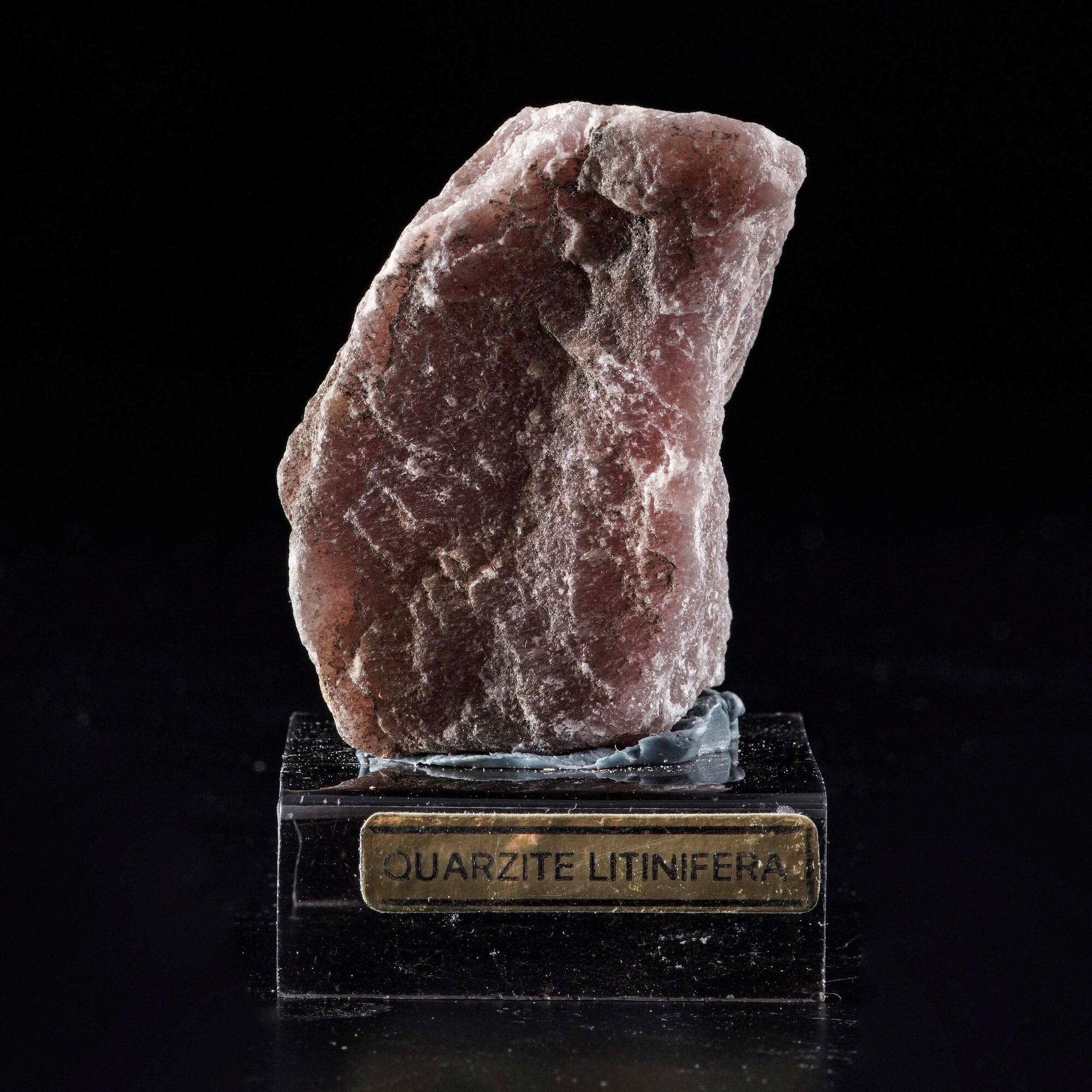 Quarzite Litinifera