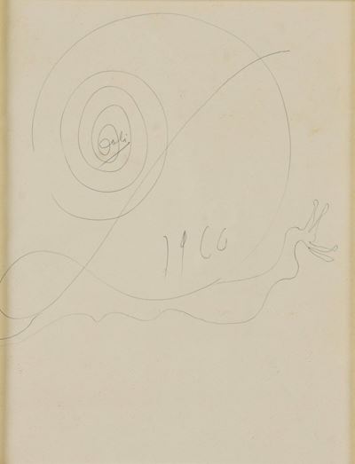 Salvador Dalí, Lumaca, disegno a penna su carta (1966)