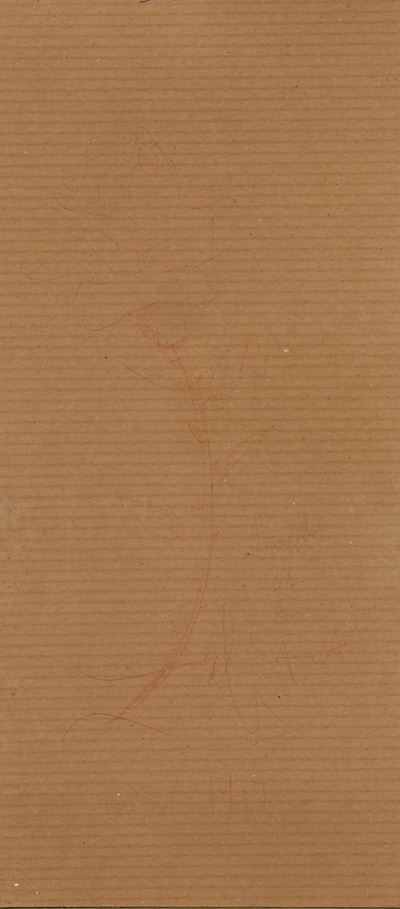 Salvador Dalì, Rosa, disegno a penna su carta (1967)