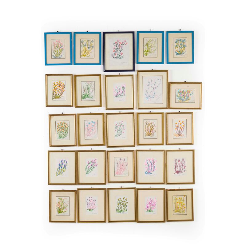 Venticinque disegni raffiguranti fiori, di Ana Maria Dalì  - Auction Jewellery, silverware, furnishings, and objets d'art. A charitable bequest. - I - Cambi Casa d'Aste