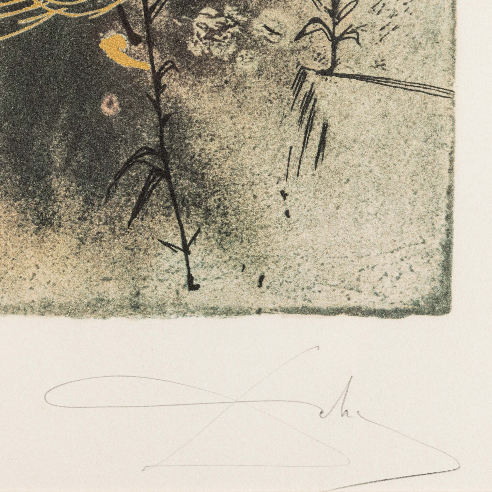 Salvador Dalì - Senza titolo (litografia)