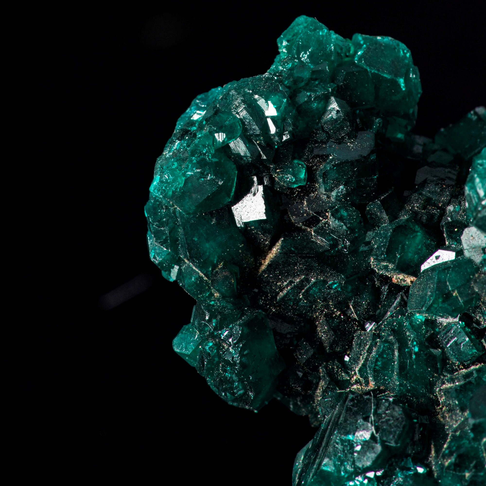 Diottasio, cluster di cristalli verdi (ciclosilicato idrato di rame, prismi trigonali)