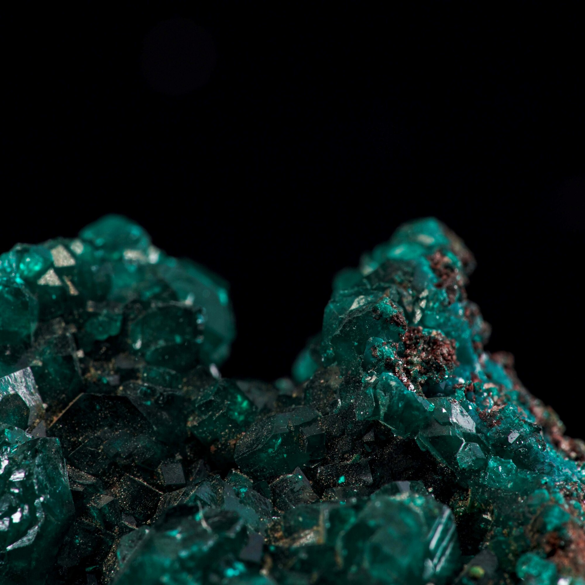 Diottasio, cluster di cristalli verdi (ciclosilicato idrato di rame, prismi trigonali)