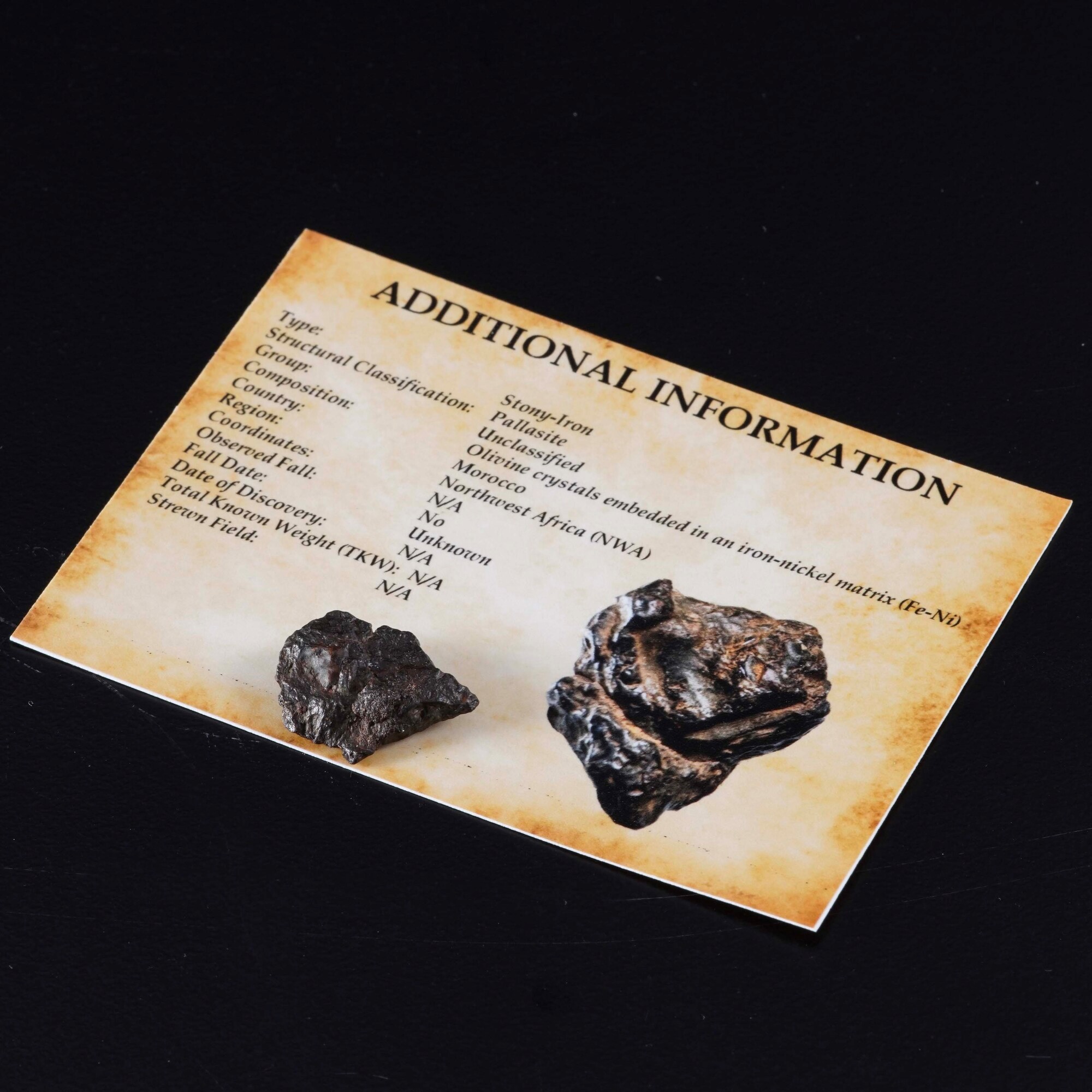 Raro Frammento di Meteorite Palassite
