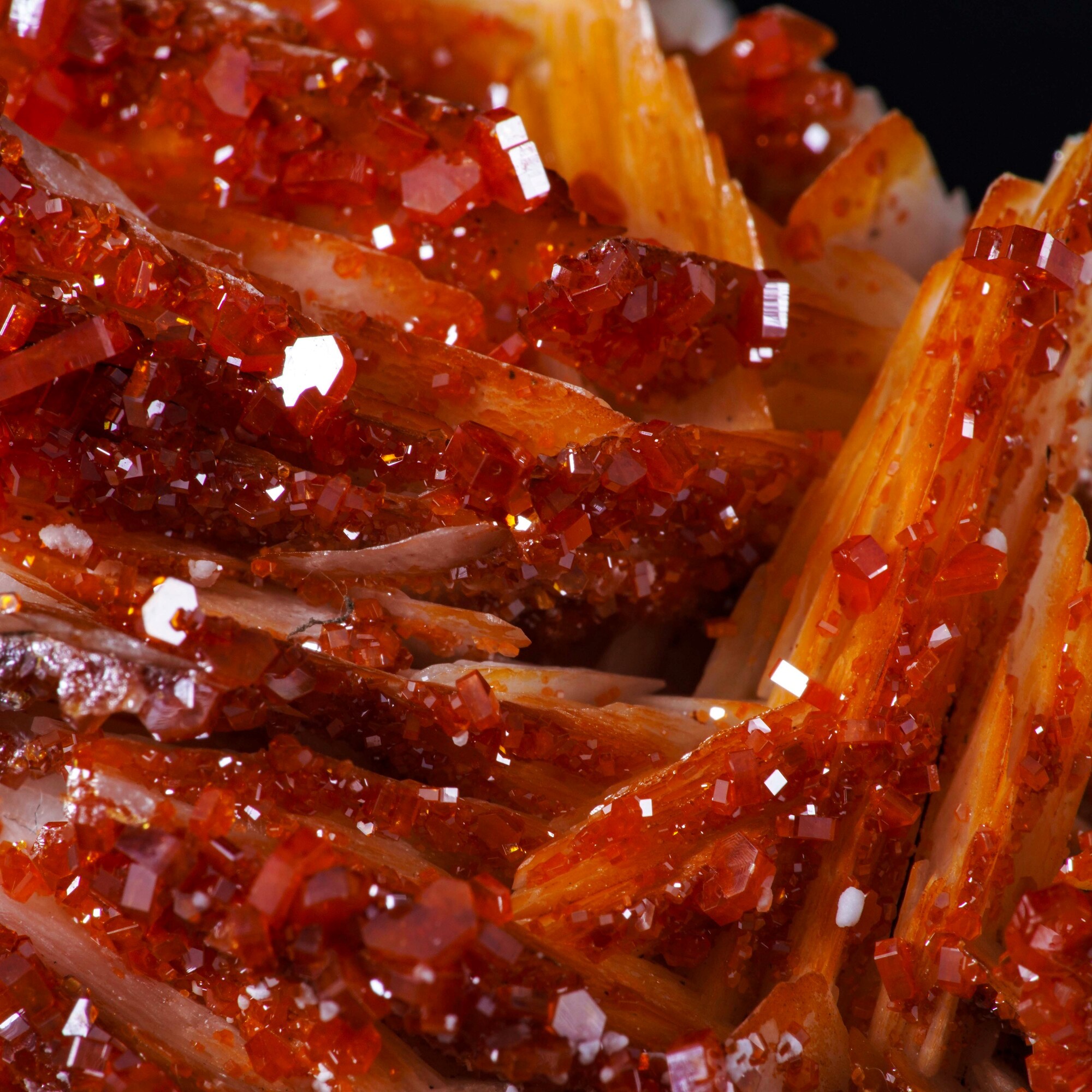 Vanadinite su barite, cristalli in prismi esagonali su matrice di BaSO4