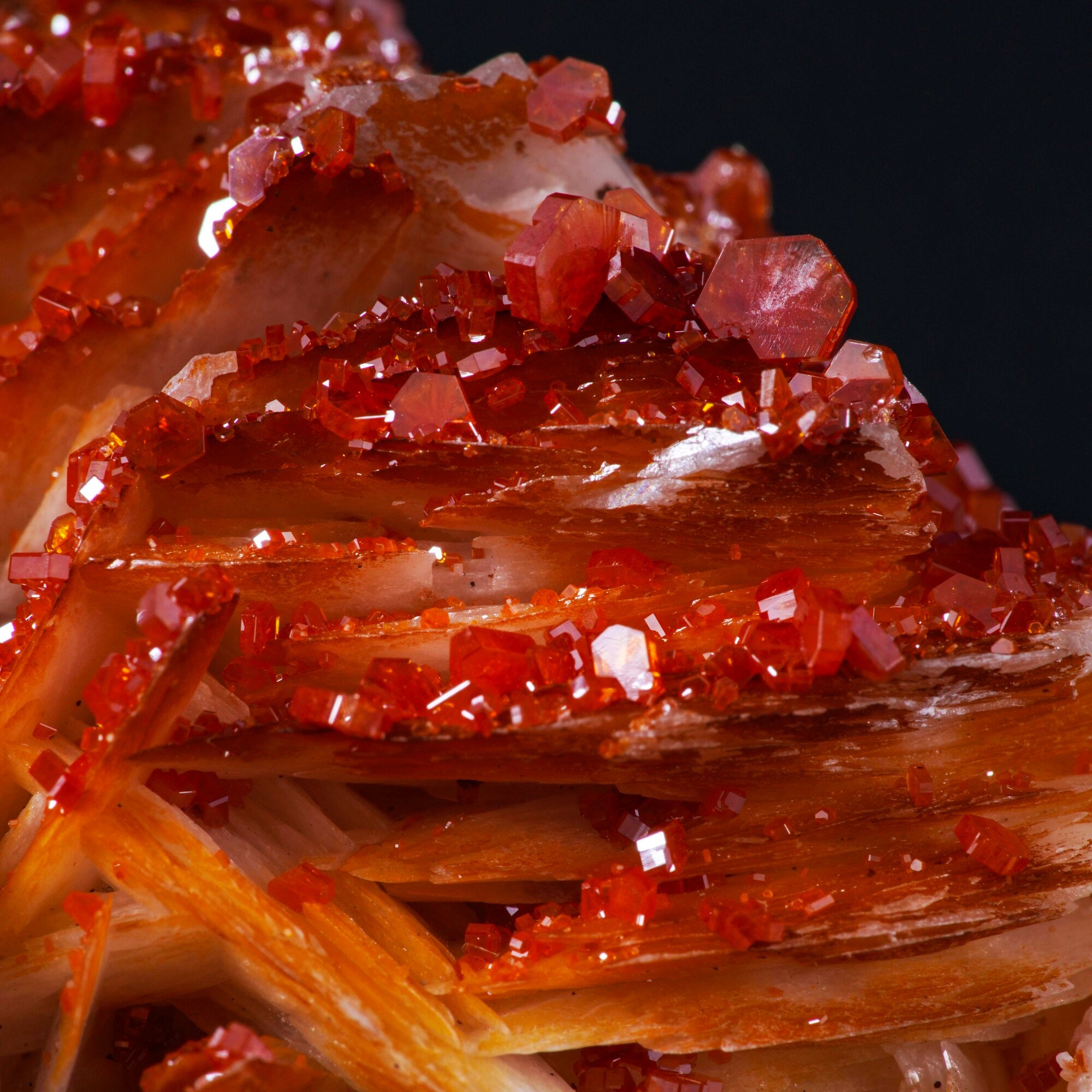 Vanadinite su barite, cristalli in prismi esagonali su matrice di BaSO4