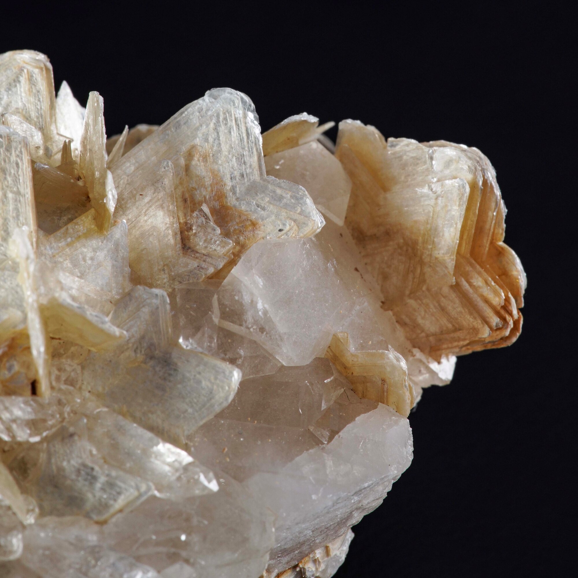 Cluster di Quarzo su Muscovite