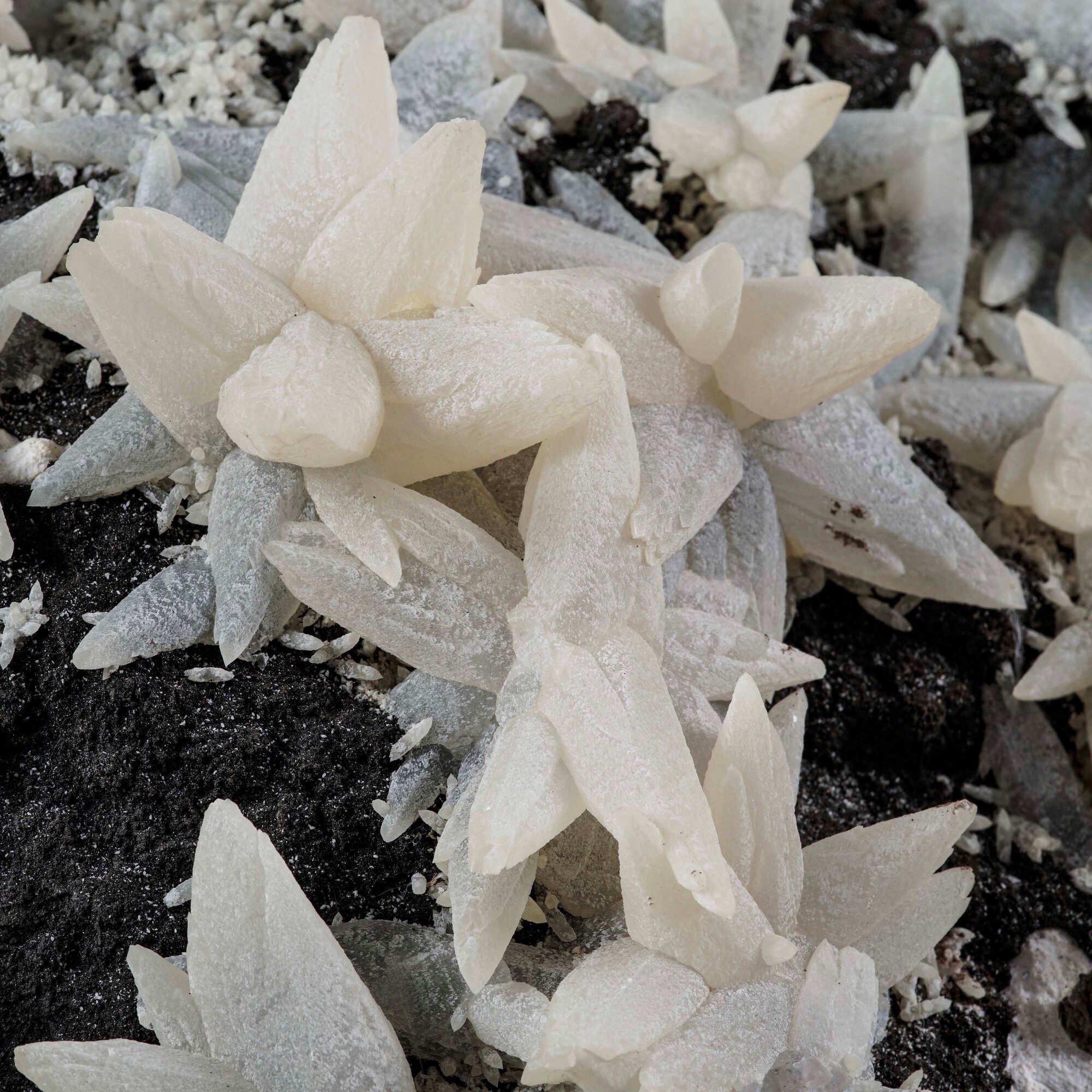 Calcite, grande gruppo di cristalli (CaCO3) con sfaldatura romboedrica perfetta