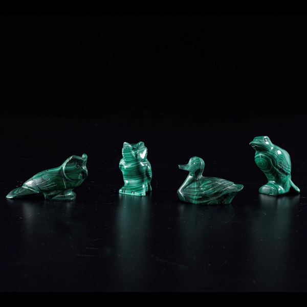 Group of four malachite birds