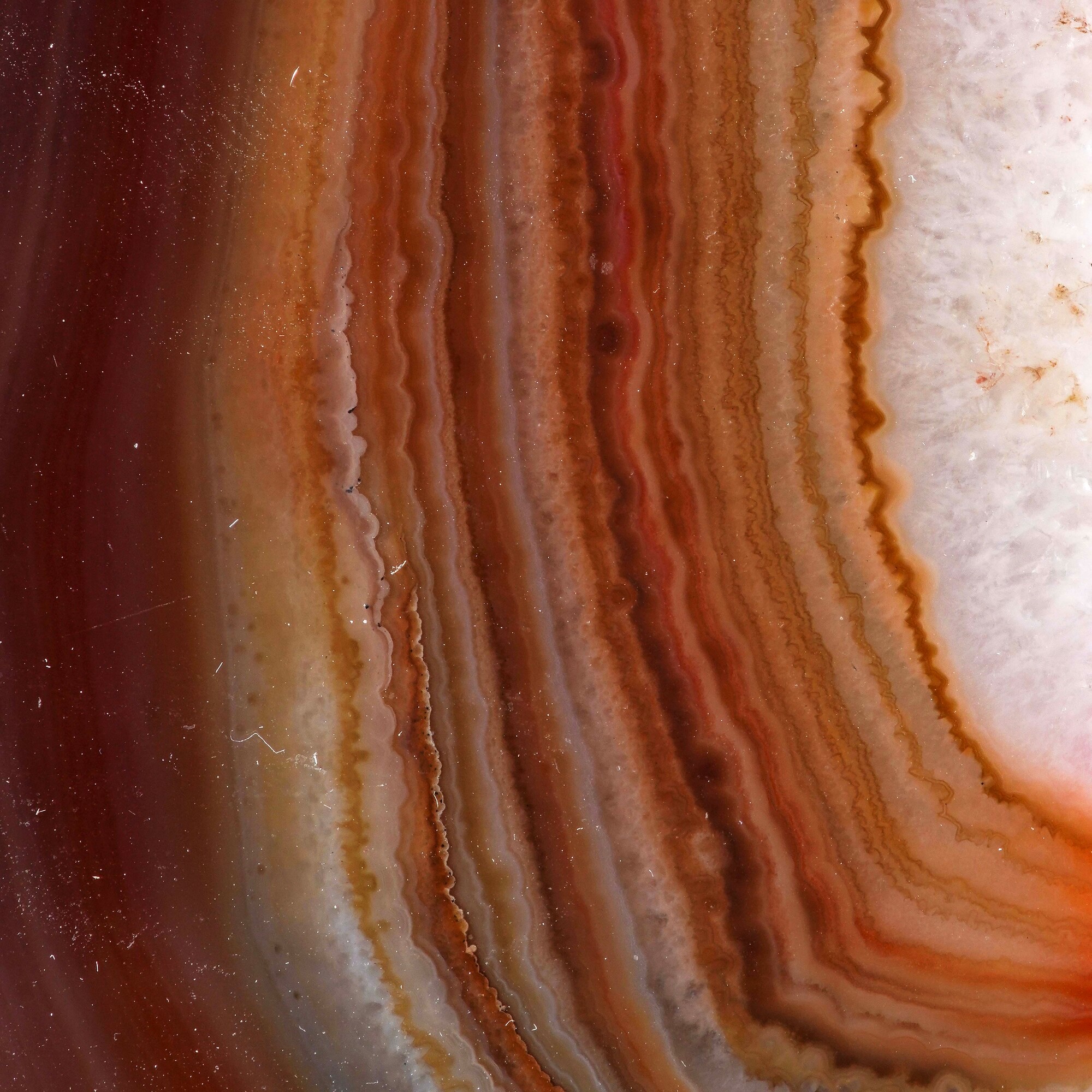Due Porzioni di Geode di Agata