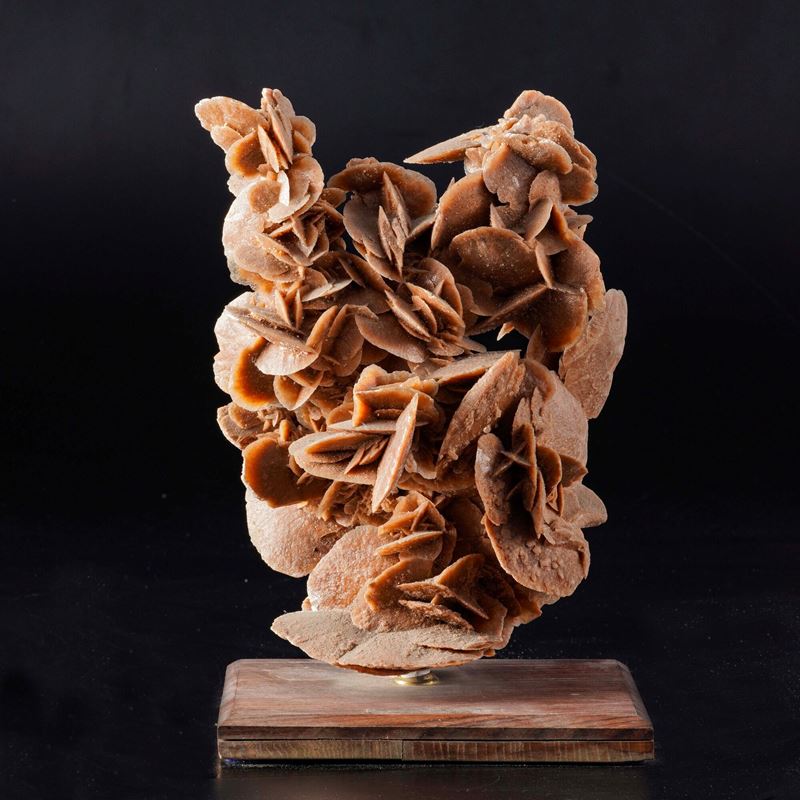 Grande Rosa del Deserto