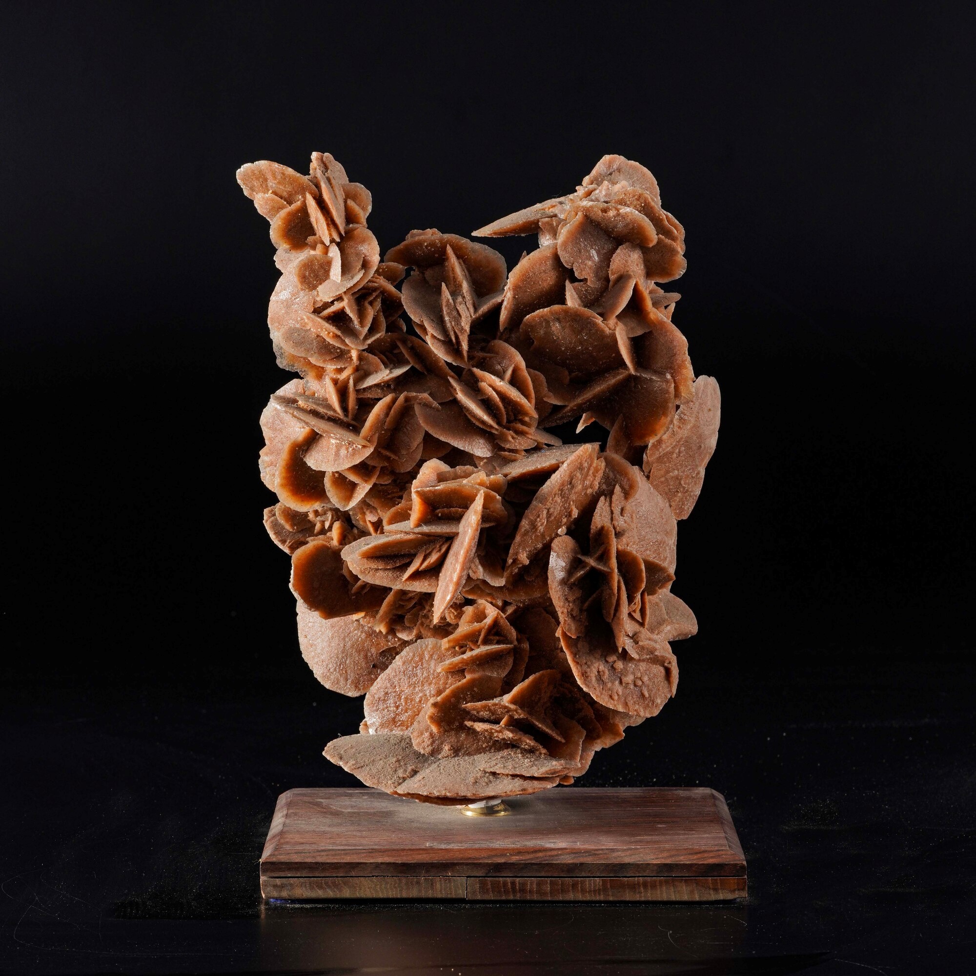Grande Rosa del Deserto