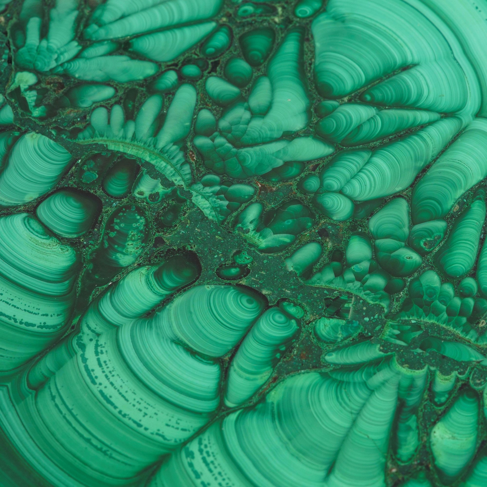 Grande ed Elegante Cofanetto in Malachite Fiorita