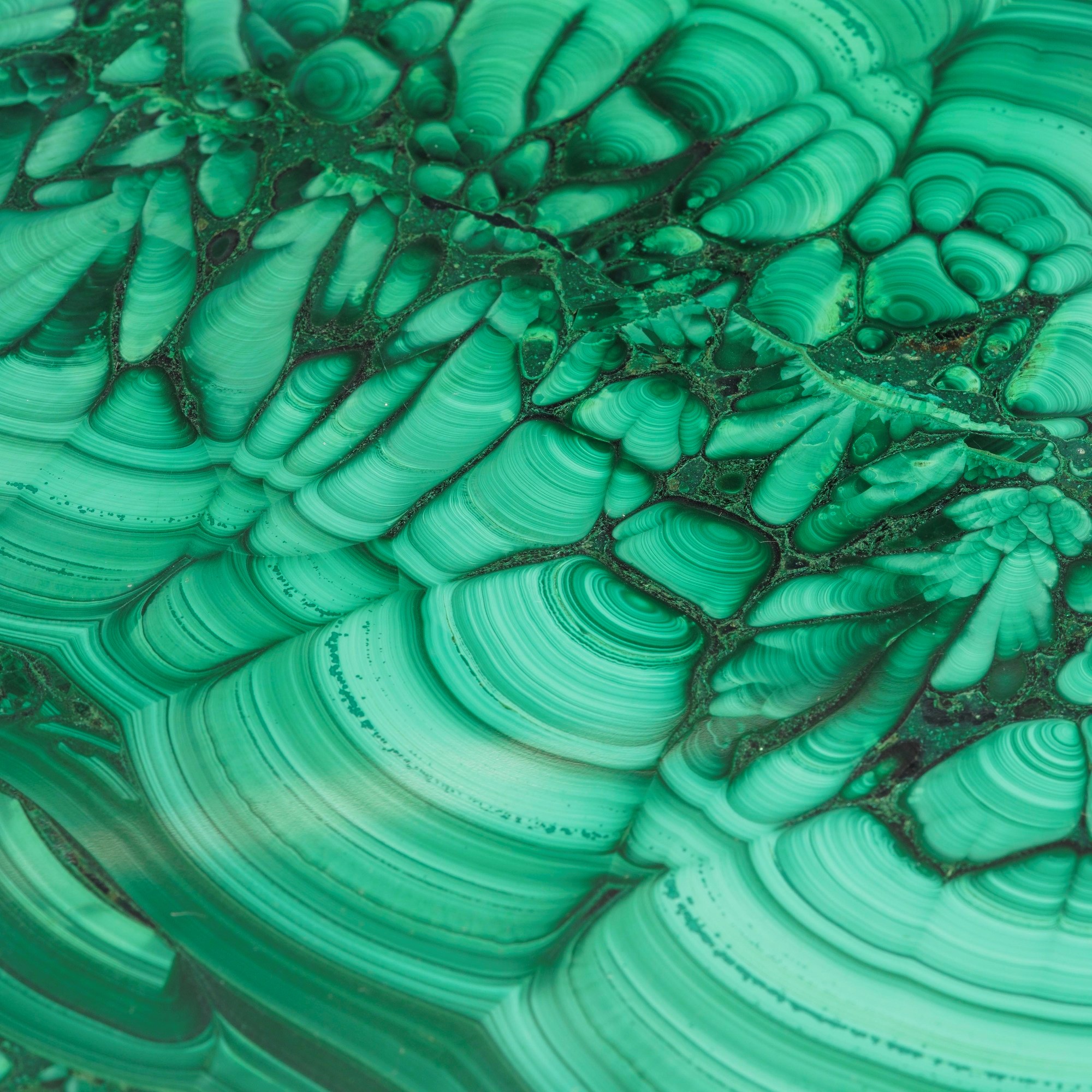 Grande ed Elegante Cofanetto in Malachite Fiorita