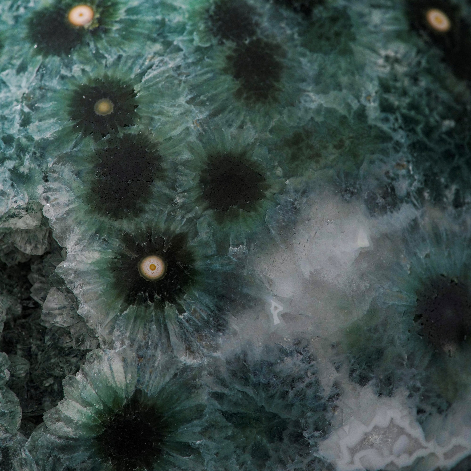 Sfera in Diaspro Orbicolare