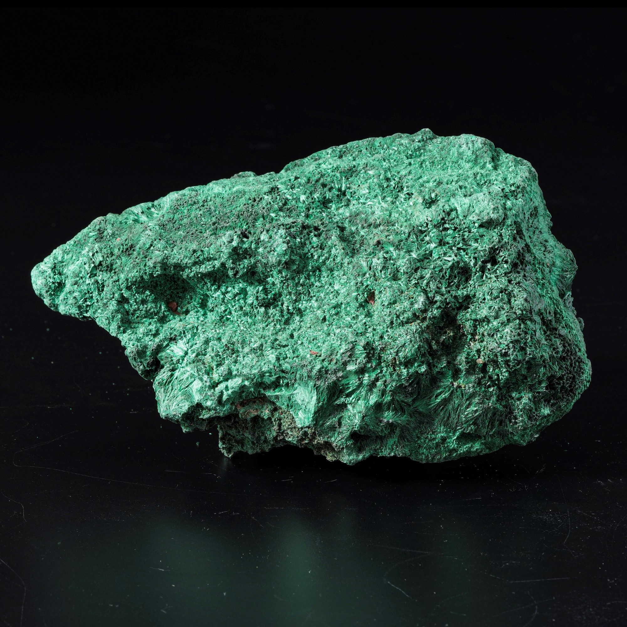Malachite Feltrata