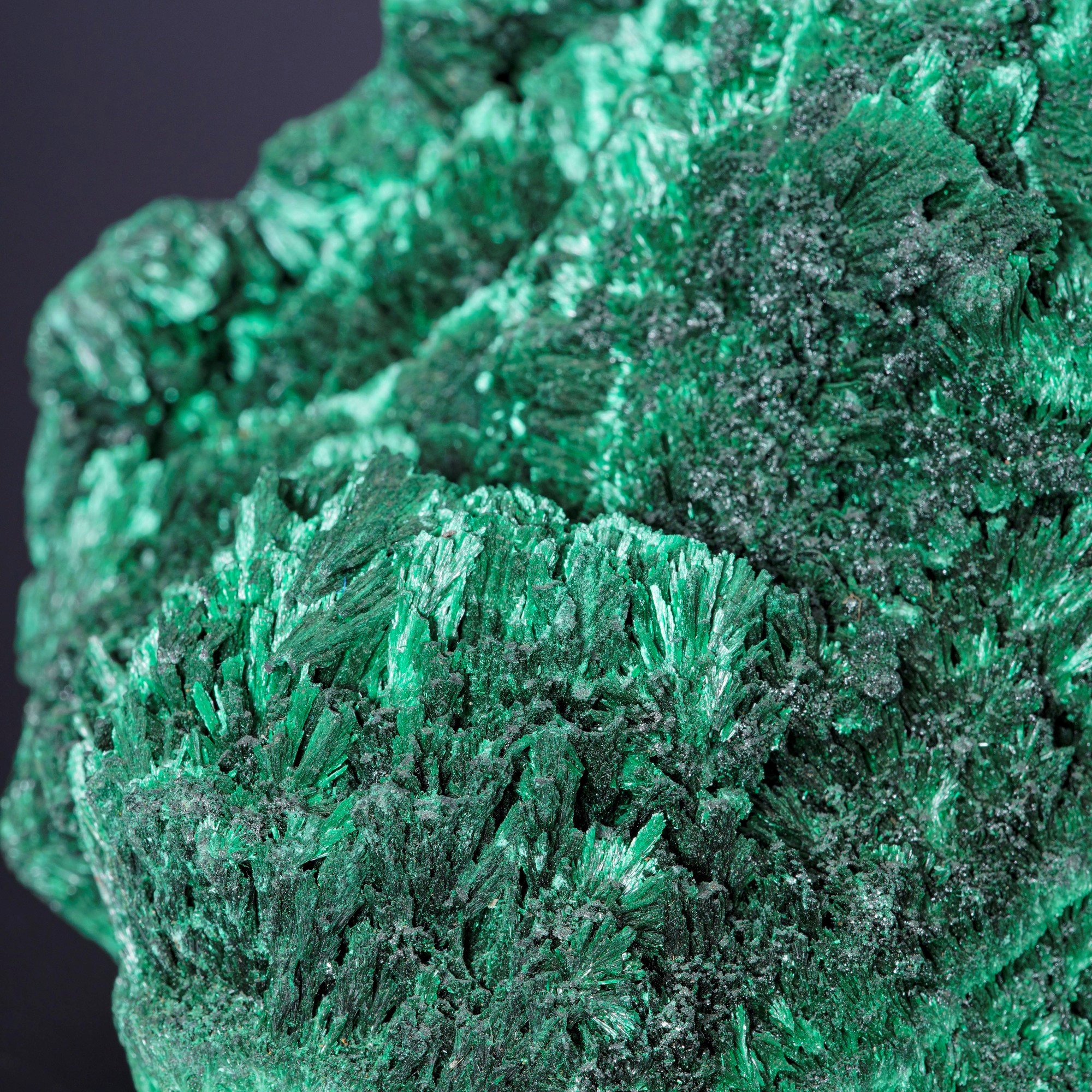 Malachite Feltrata