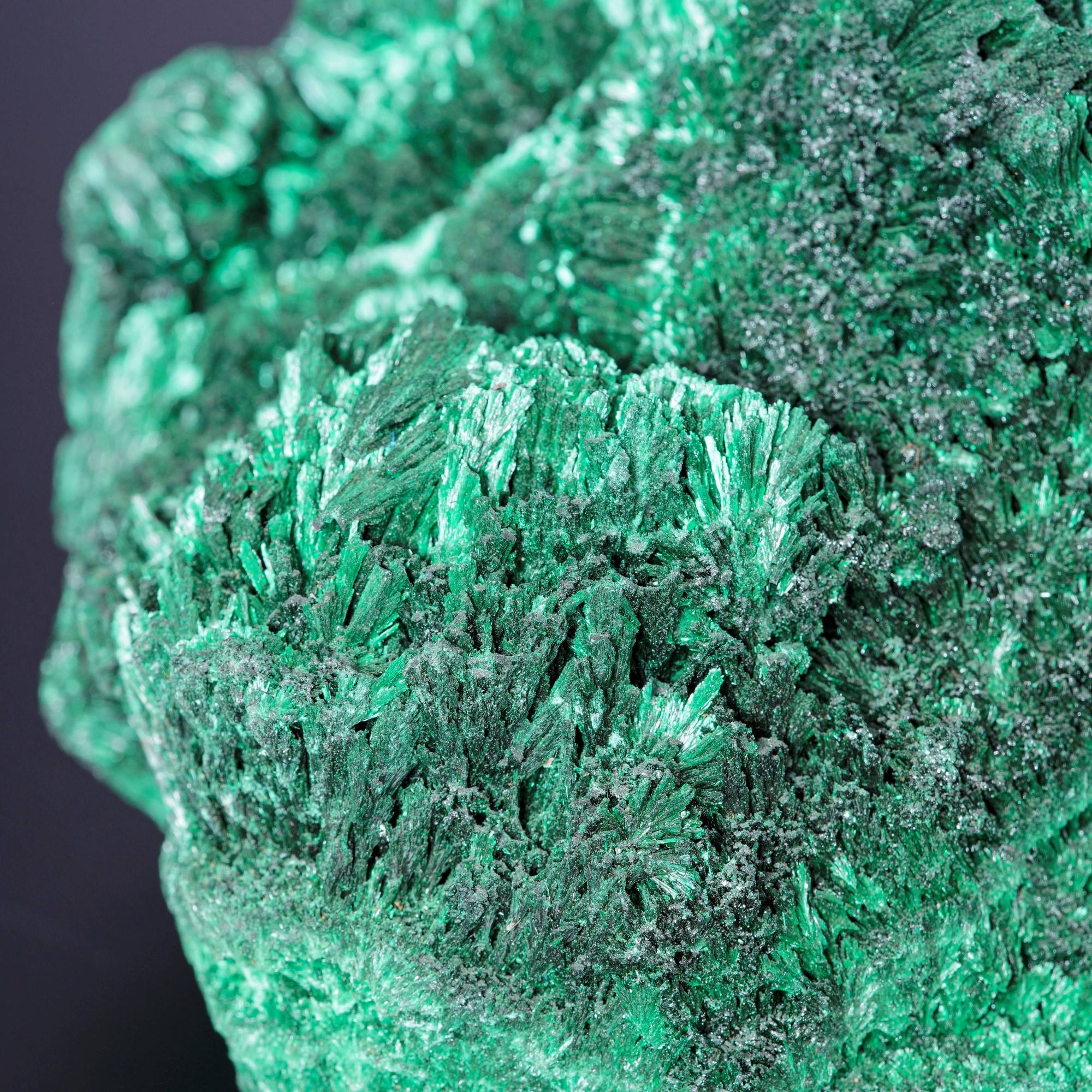 Malachite Feltrata