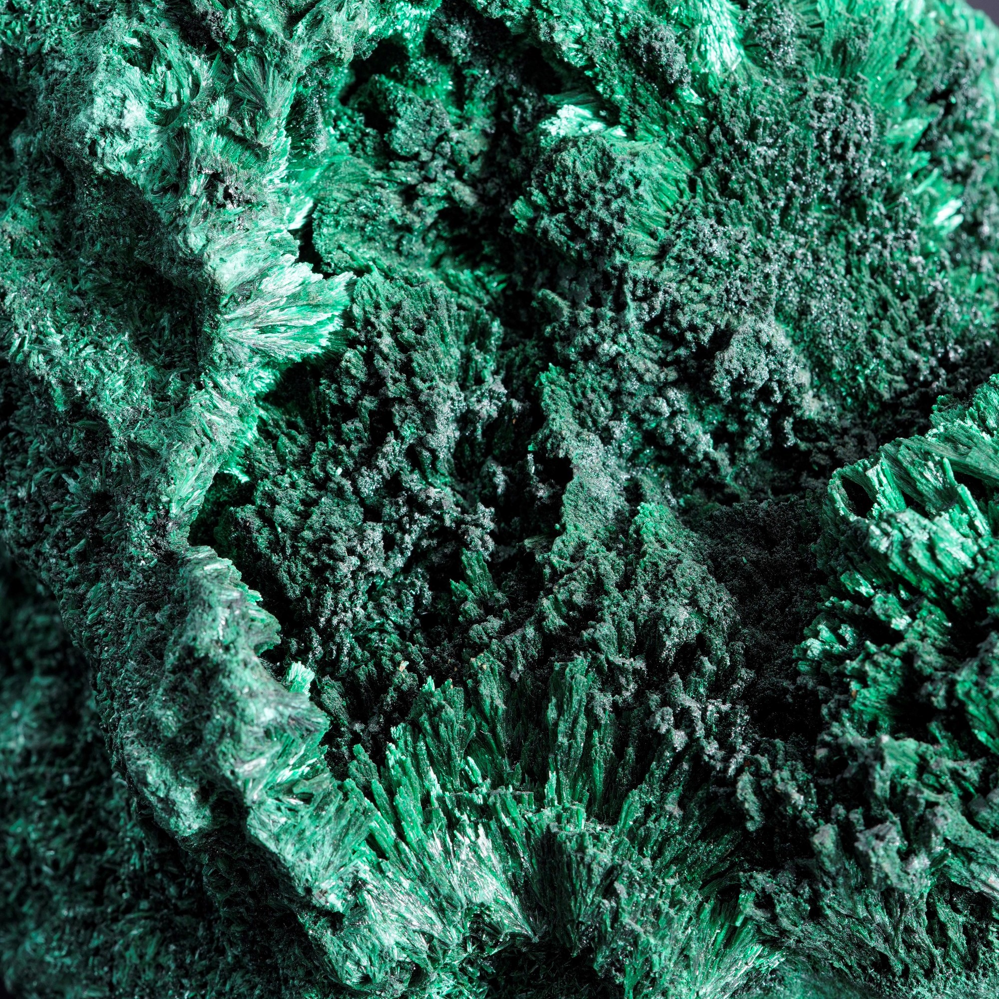 Malachite Feltrata