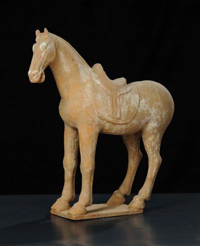 Cavallo in Terracotta Modellata a Stampo, Dinastia Tang (618-907)
