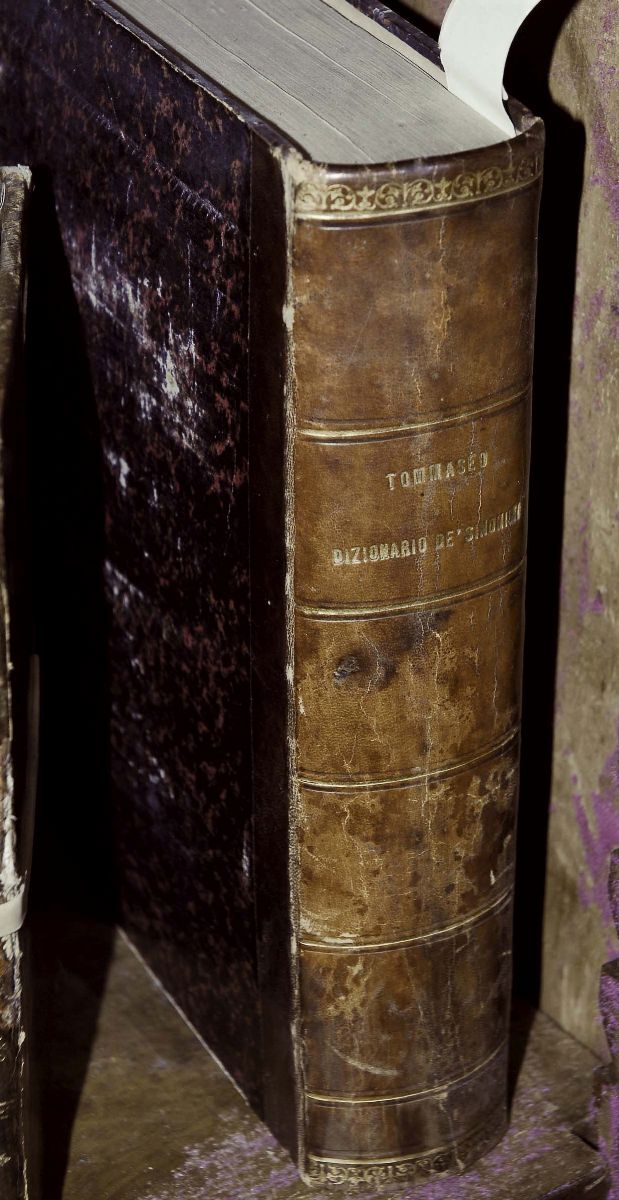 Tommaseo, Nicolònuovo Dizionario dei Sinonimi