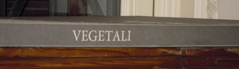 Morlotti, Ennio Vegetali  - Auction Old and Rare Books - Cambi Casa d'Aste