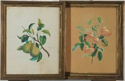 Due Quadretti Diversi Raffiguranti Rose e Pere, XX Secolo