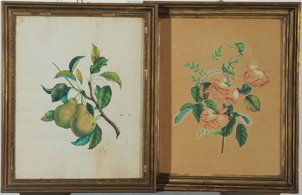 Due quadretti diversi raffiguranti rose e pere, XX secolo