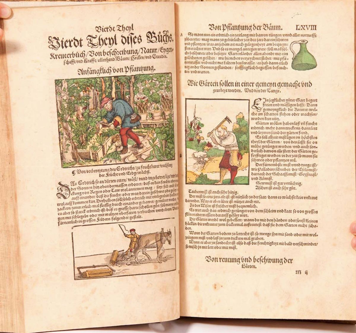 Lonicer, Adamkreuterbuch Kunstliche Conterfeztunge Der Baeume Stauden Hecken Kreuter Getrende Gew...