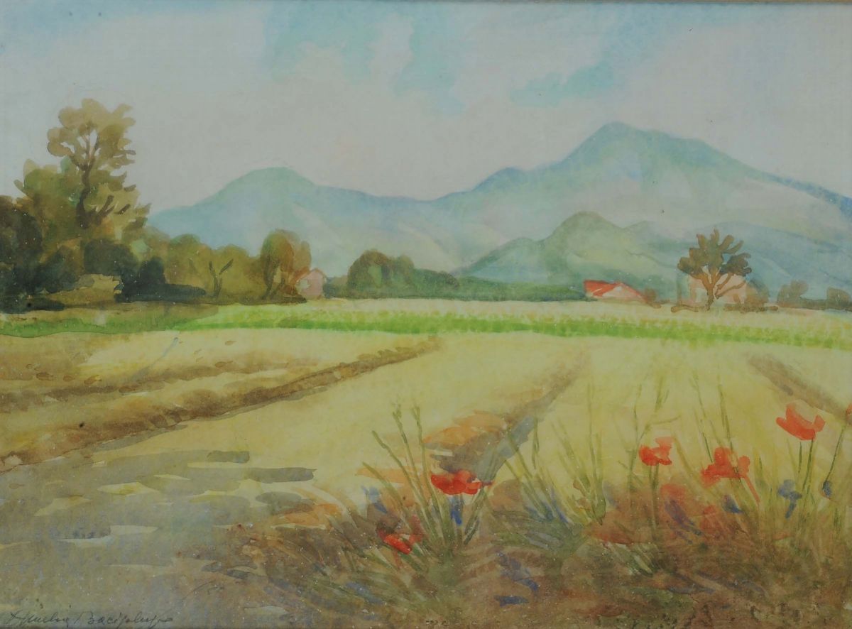 Amelia Bacigalupocampagna, 1968 Campo di Grano, 1968