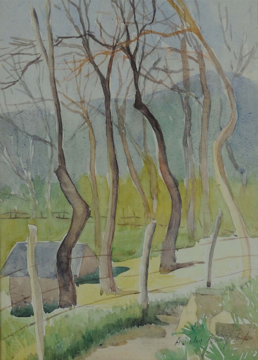 Amelia Bacigalupovedute Campestri
