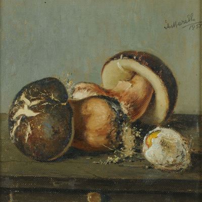Amedeo Merello (1890-1979)funghi