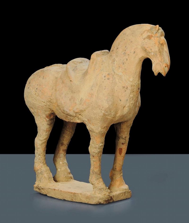 Cavallo in terracotta con sella, epoca Tang (618-907)  - Auction Oriental Art - Cambi Casa d'Aste