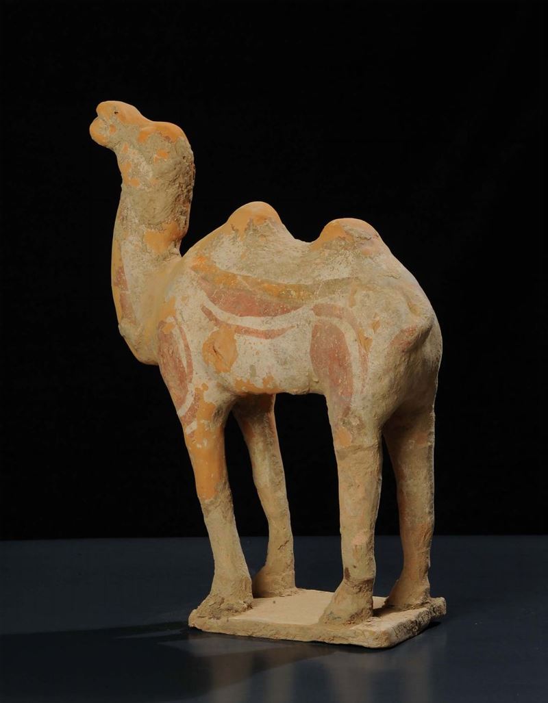 Cammello in terracotta, epoca Tang (618-907)  - Asta Arte Orientale - Cambi Casa d'Aste