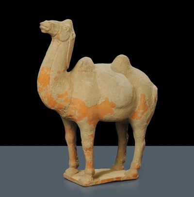 Cammello in Terracotta con Tracce di Policromia, Epoca Tang