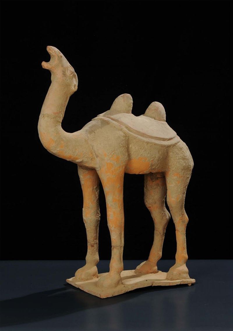 Cammello in terracotta, epoca Tang (618-907)  - Auction Oriental Art - Cambi Casa d'Aste