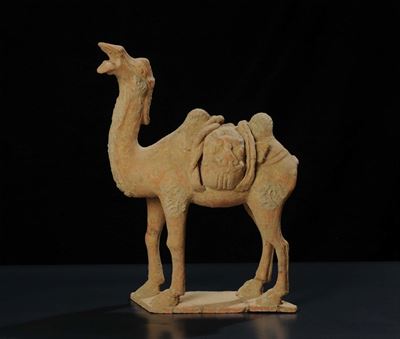 Cammello con Bisaccia in Terracotta, Epoca 1700