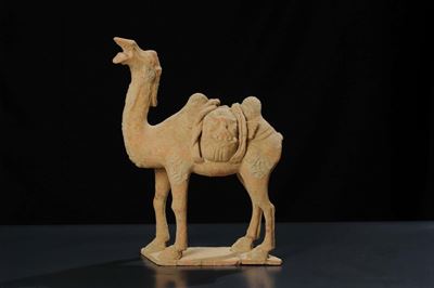Cammello in Terracotta, Epoca Tang (618-907)