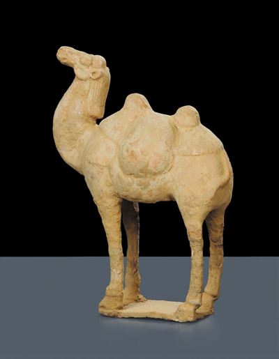 Cammello in Terracotta con Tracce di Policromia, Epoca Tang