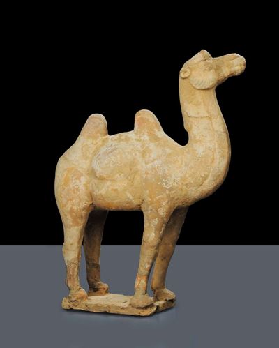 Cammello in Terracotta con Tracce di Policromia, Epoca Tang
