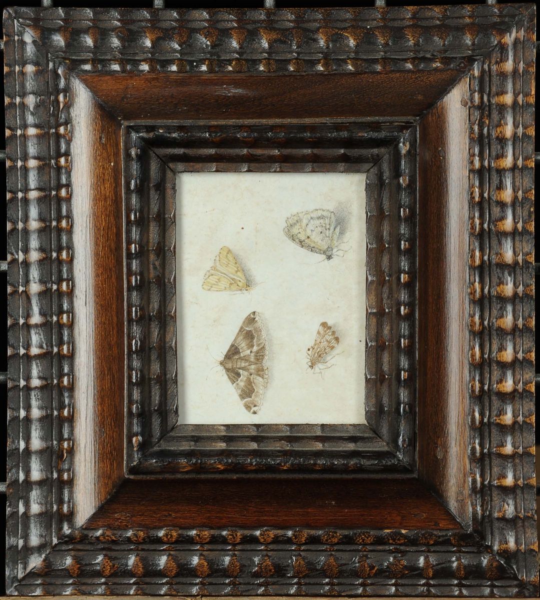 Scuola del XVIII Secolofarfalle