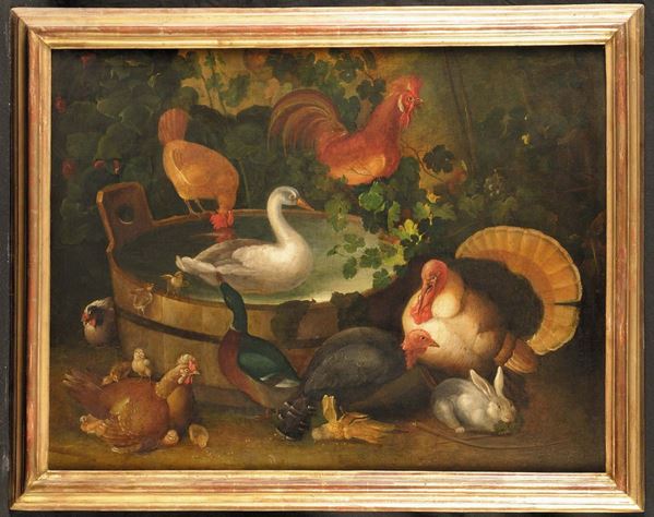 Nicola Casissa (?-1730) Tinozza con anitra, tacchino e altri gallinacei