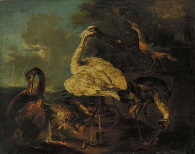 Angelo Maria Crivelli Detto il Crivellone (?-1730)stagno con Volatili