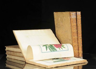 Bonelli, Giorgio - Martelli, Niccolòhortus Romanus Iuxta Systema Tournefortianum, Paulo Strictius...