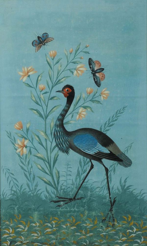 Carlo Antonio Raineri (1765-1826), ambito di Uccelli