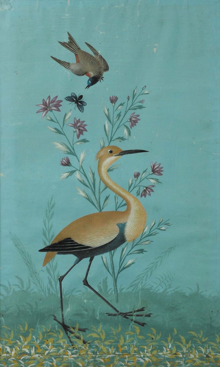 Carlo Antonio Raineri (1765-1826), Ambito Diuccelli