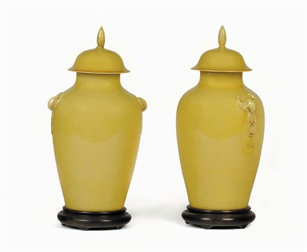 Coppia di vasi in porcellana gialla, Cina XIX secolo